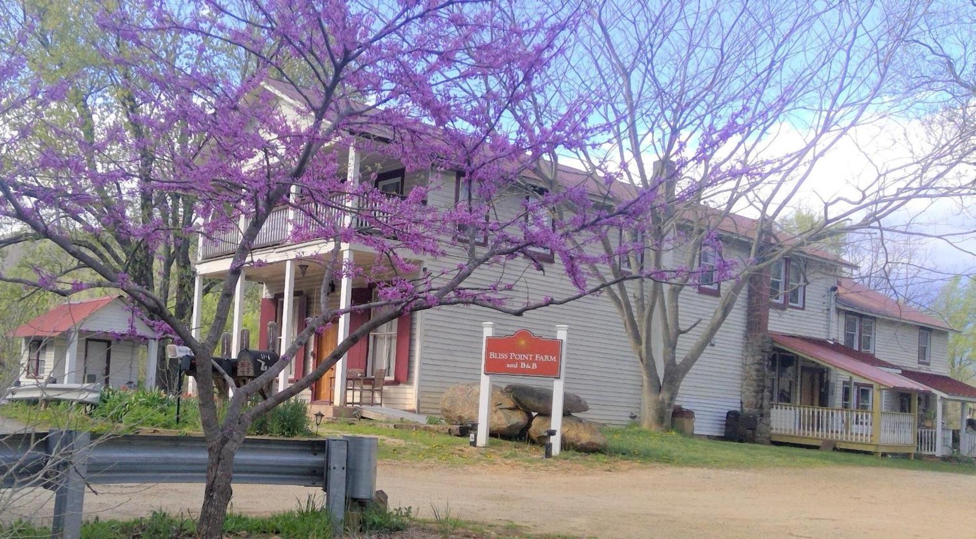 Bliss Point Farm And B&B, Llc Earlysville Dış mekan fotoğraf