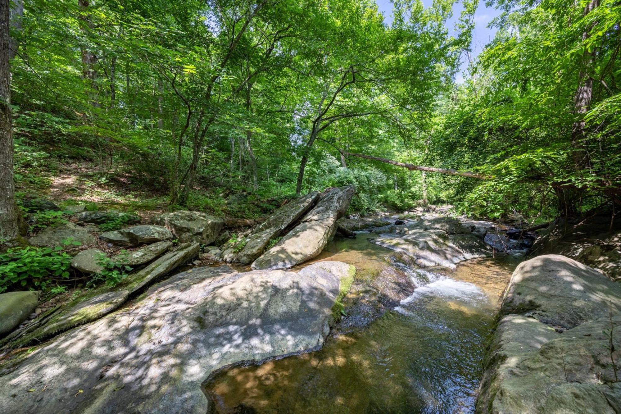 Bliss Point Farm And B&B, Llc Earlysville Dış mekan fotoğraf